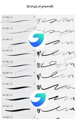 25 Smooth Line Procreate Brush Set for Anime, Manga, and Er Ci Yuan LL1525